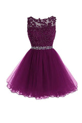 Scoop Short Grape Zipper-Up Tulle Homecoming Dress