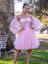 Corset Sparkly Hearts Above Knee Length Tulle Dress
