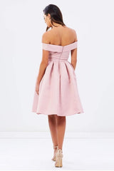 Natural Off-The-Shoulder Pleated A-Line Sleeveless Homecoming Dress